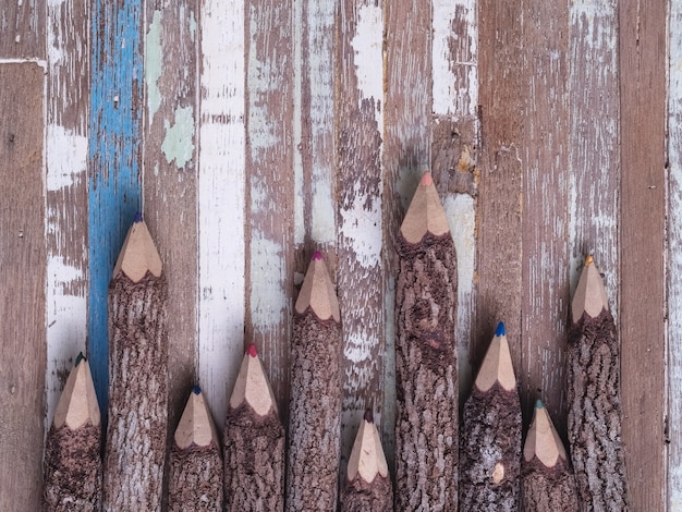 lápis de cor feitos de madeira natural