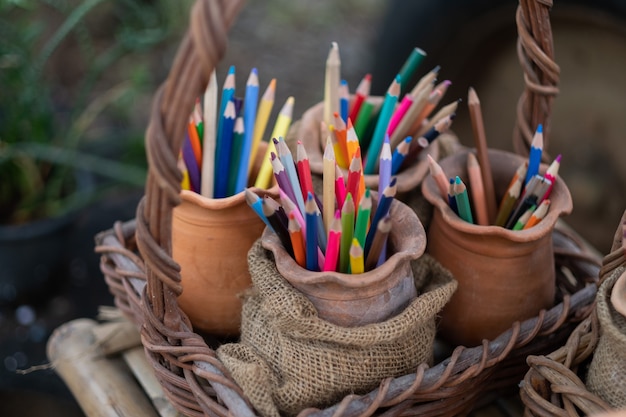 Lápiz de color en la canasta, concepto de regreso a la escuela