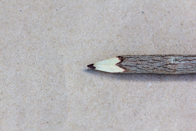 lápiz de madera hecho de rama de árbol en el papel