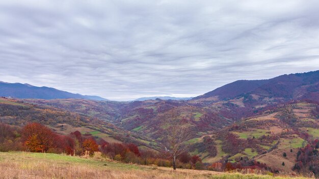 Lapso de tempo Linda natureza de outono e névoa neblina flui ao redor das montanhas pela manhã com sol suave Temporada de outono na montanha dos Cárpatos na Ucrânia