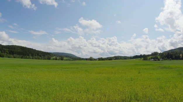 El lapso de tiempo de la naturaleza El hermoso paisaje de verano