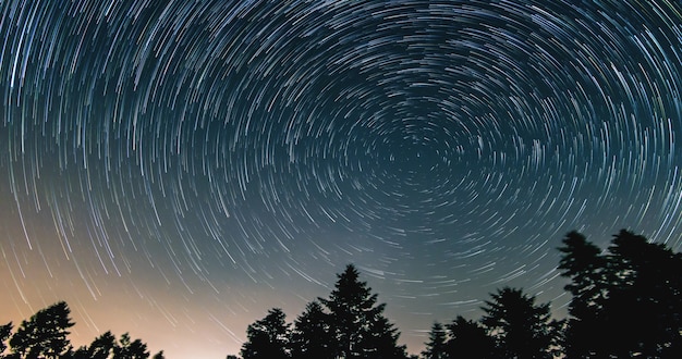 Lapso de tiempo de pinos de Star Trail en primer plano Avala Belgrado Serbia