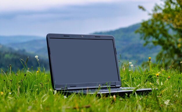 Laptop en césped verde en el parque trabajando en el concepto al aire libre