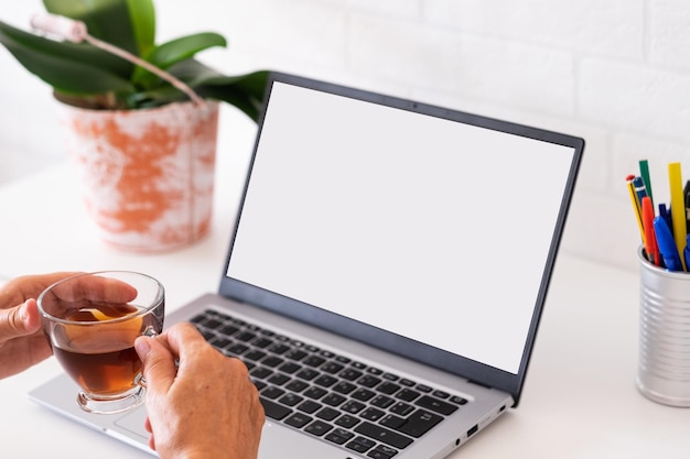 Laptop com tela em branco. Mão feminina, bebendo uma xícara de chá. Local de trabalho com caneta e planta. Tecnologia, internet, comércio eletrônico, negócios