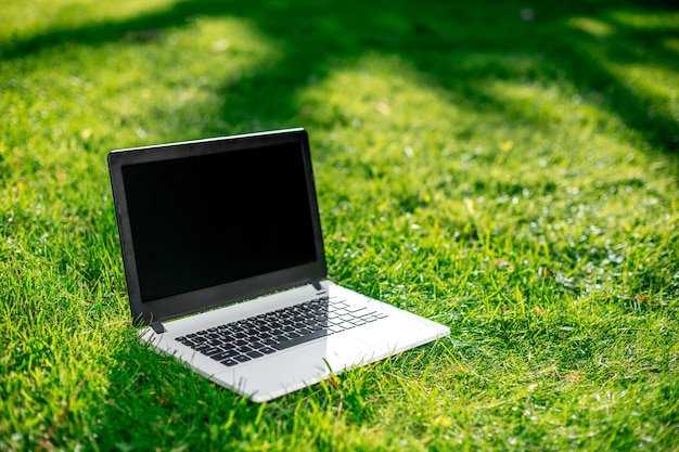 Laptop com tela em branco no gramado verde. Copie o espaço