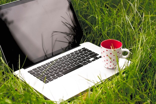 Laptop-Computer mit Tasse Kaffee auf grünem Gras