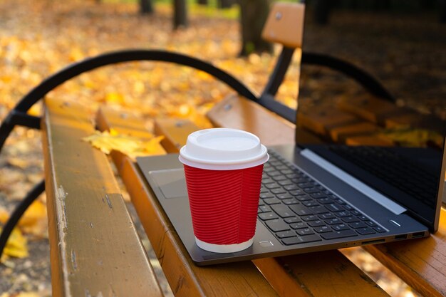 Laptop e café no banco no parque outono closeup