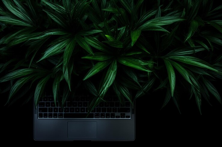 Foto laptop e planta de escritório na vista superior de fundo preto