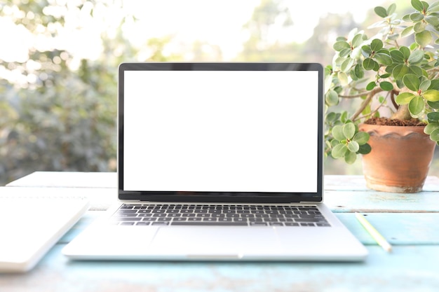 Laptop e vaso de plantas e bloco de notas na mesa de madeira azul