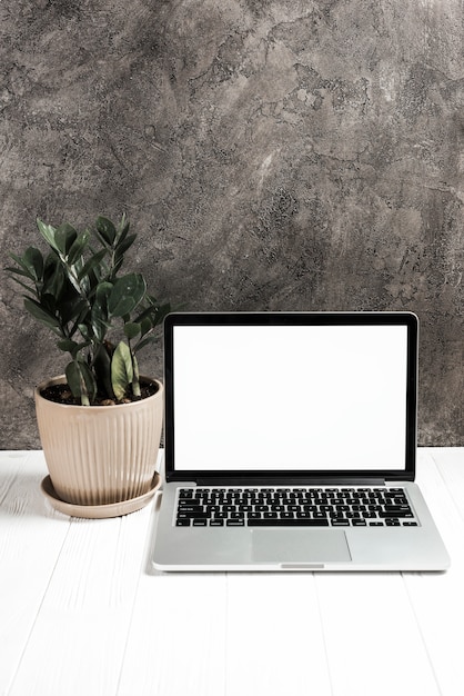 Foto laptop na mesa de madeira texturizada branca com planta em vaso contra o muro de concreto