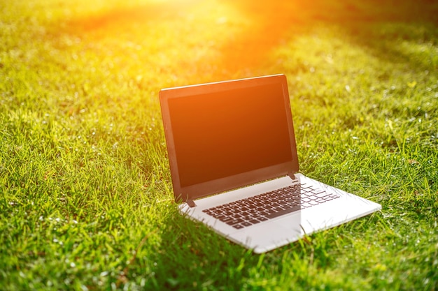 Laptop con pantalla en blanco sobre césped verde