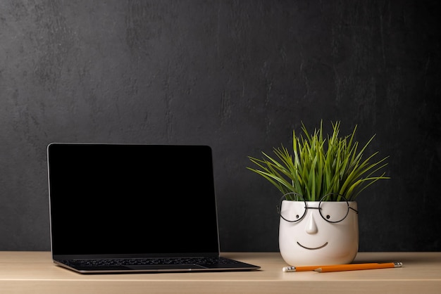 Laptop y planta