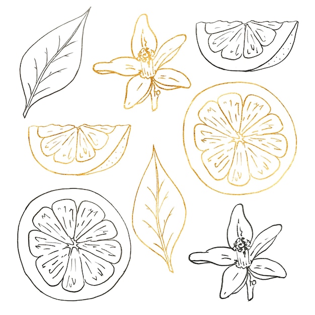 Laranja com ilustração gráfica de folhas e flores isolada no fundo branco