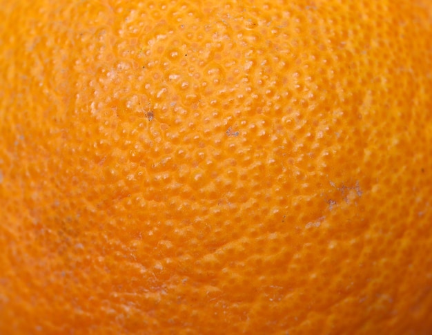 Laranja Frutas Cítricas