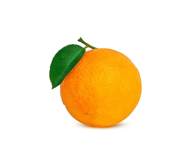 Laranja madura em um galho em um fundo branco