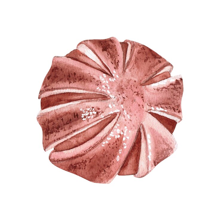 Foto laranja seca vista superior estilo vintage em aquarela ilustração em fundo branco cor laranja desenhada à mão em monocromático para ilustração de cartões de natal fazendo molduras e coroas de flores para o natal