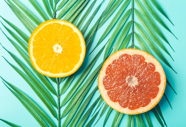 Laranjas e toranjas em um fundo colorido. Fatias de frutas tropicais cítricas em folhas de palmeira.