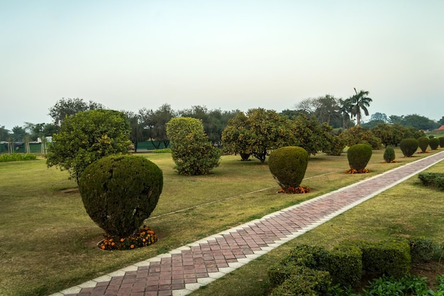 Laranjeira no parque perto do templo de Lotus em Nova Deli Índia