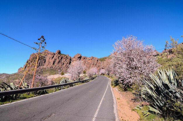 Larga carretera asfaltada del desierto vacío en las Islas Canarias España