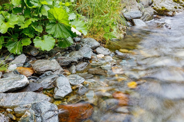 larga exposición de un arroyo de río en el valle de montaña superficie de movimiento lento agua hirviendo en el río de montaña agua fresca burbujeando de la fuente cosechada