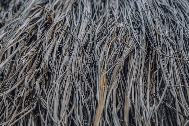 Larga y seca hierba fina agricultura cosecha pila de paja de heno Detalle de textura Asociación frágil sin vida daño cabello enfermo Papel tapiz de fondo con techo de paja Tonos de gris marrón más tono en stock