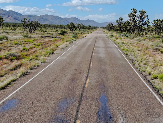 Largo camino pequeño en medio del desierto en Arizona, California, EE.UU.