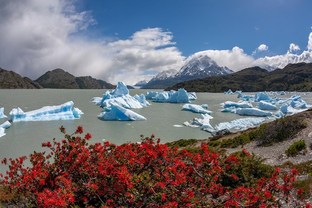 Largo Grey Nationalpark Torres del Paine Chile