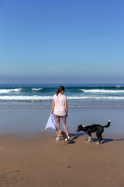 Foto el largo de un perro en la playa