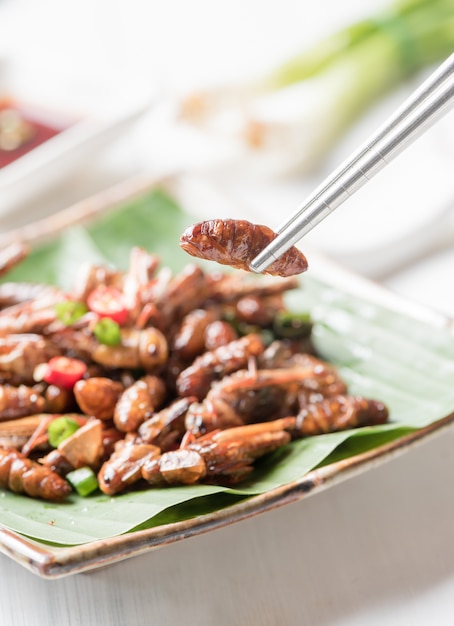 larva frita en los palillos, comida de insectos comestibles y comida local en Tailandia