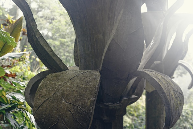 Las Pozas um jardim botânico surrealista em Xilitla México