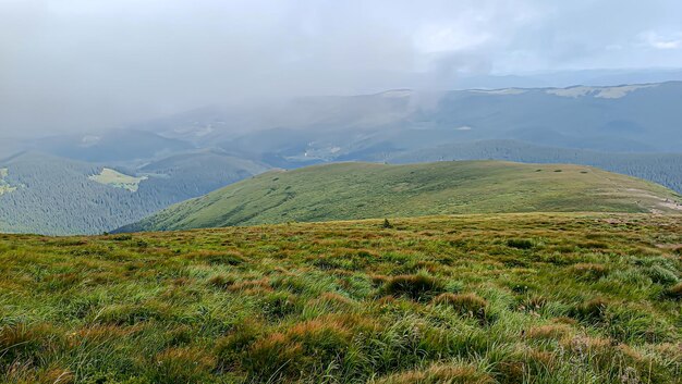 Lass uns den Berg hinaufgehen. Landschaft mit Wolken, Kiefern und grünem Gras. Reise durch Wälder, Berge, Flüsse, selektiver Fokus