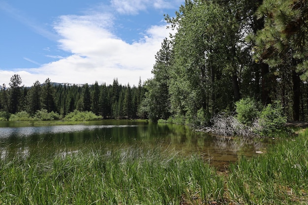 Lassen Nationalpark Kalifornien