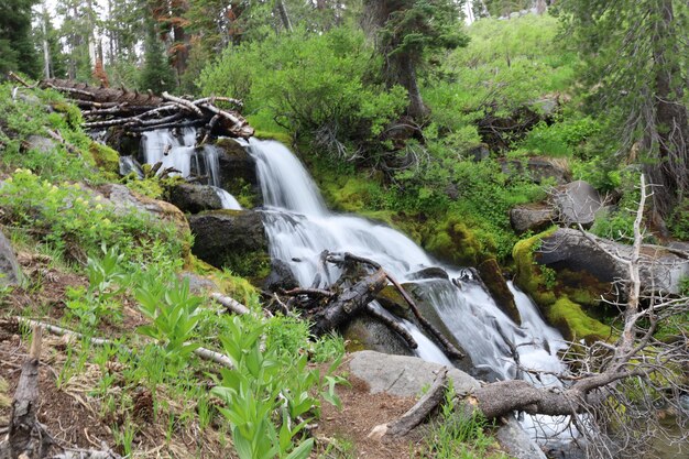 Lassen Nationalpark Kalifornien