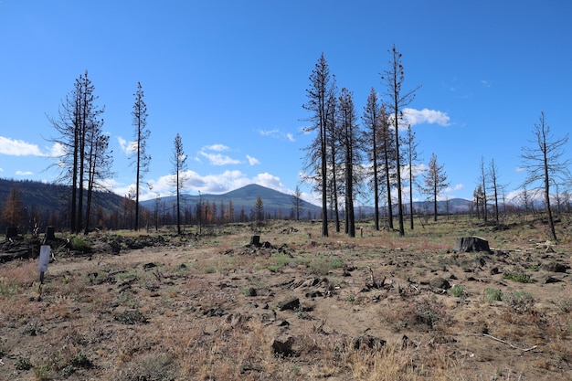 Lassen Nationalpark Kalifornien