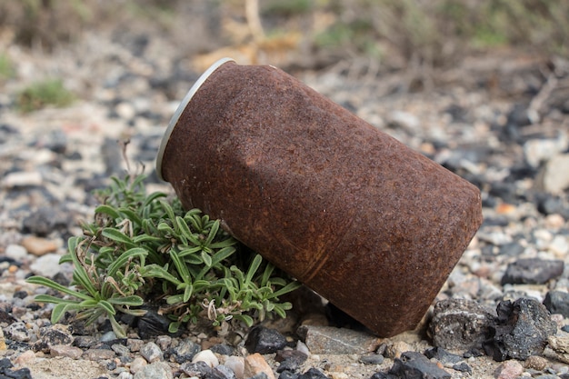 Lata enferrujada, lata enferrujada, deitado no campo, lixo