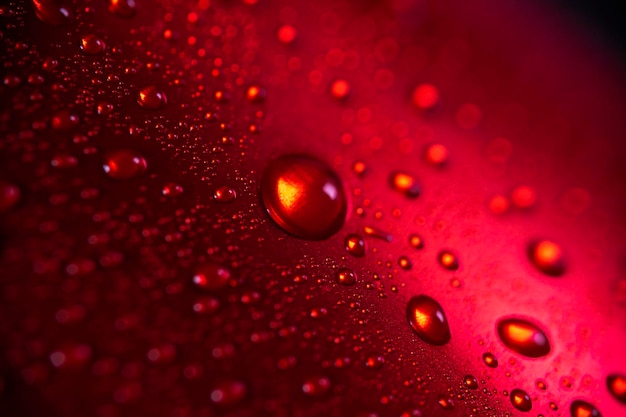 Latas de alumínio vermelhas com gotas de água ou orvalho em close-up macro shot