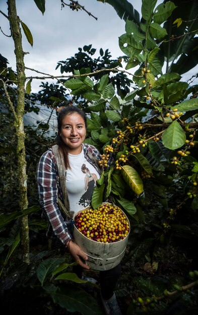 Lateinamerikanische Frauen, die auf ihren Farmen aus verschiedenen Blickwinkeln Kaffee ernten