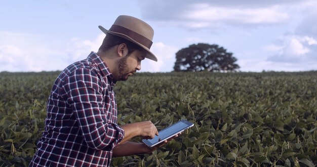 Lateinamerikanischer landwirt, der auf einer sojabohnenplantage arbeitet und die pflanzenentwicklung auf einem tablet untersucht.