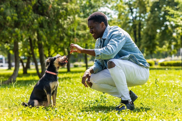 Lateinamerikanischer Mann geht mit seinem süßen Hund an einem sonnigen Tag im Rasen des Stadtparks auf dem Gras spazieren