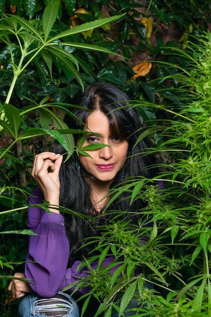 Lateinische Frau hinter einer Cannabispflanze Frau umgeben von Pflanzen medizinisches Marihuana, während sie eines ihrer Augen mit einem Marihuanablatt bedeckt
