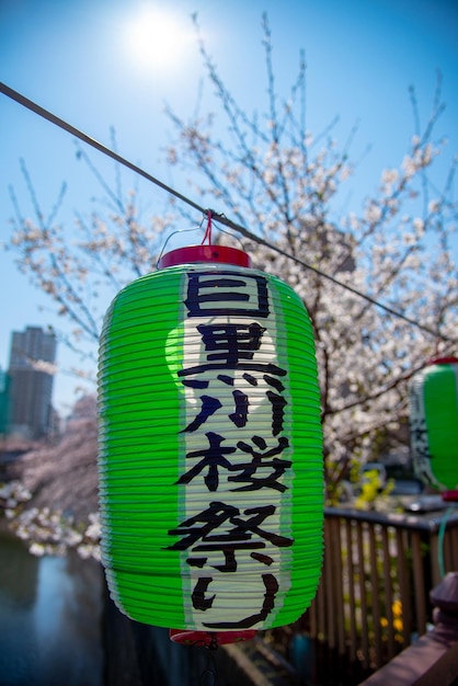 Laternen mit Kirschblüte in voller Blüte im Frühjahr Meguro-Fluss Tokio Japan