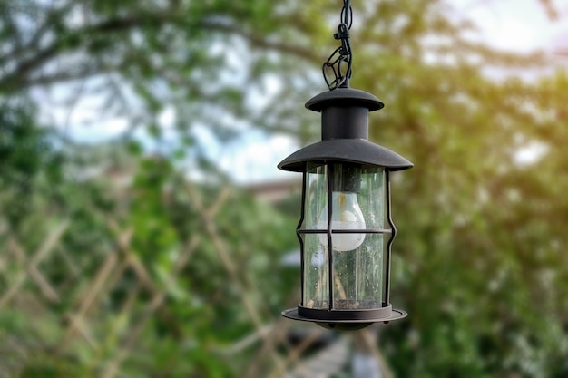 Foto laternenlampe, die von den bäumen hängt, um naturhintergrund zu verzieren