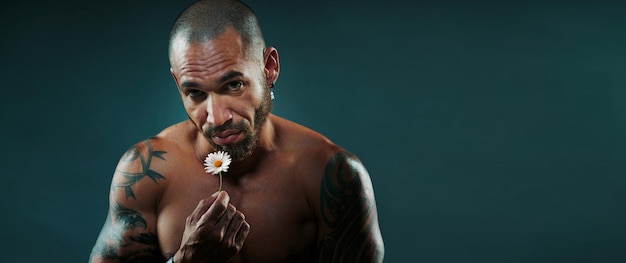 Latino oder Kubaner mit nacktem, starkem und muskulösem Oberkörper hält kleine weiße Kamille in der Hand und blickt in die Kamera
