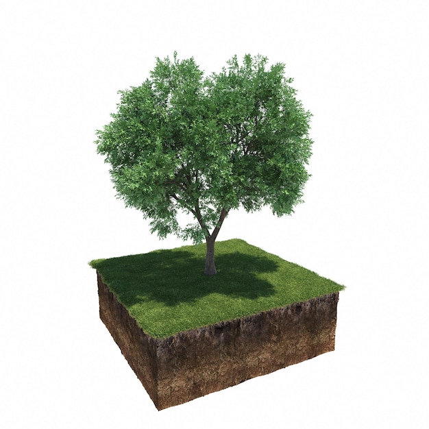 Laubbaum und Erde darunter geschnitten. Isoliertes Gartenelement, 3D-Illustration, cg-Rendering