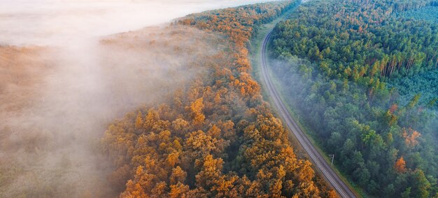 Laubwald im Herbst, Luftbild, Muster oder Textur.