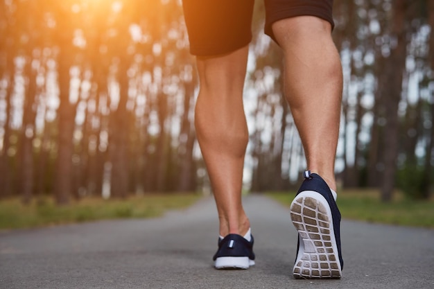 Lauf in den Wald