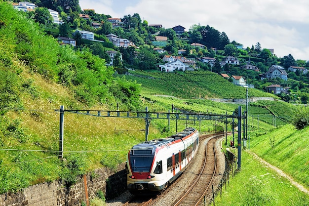 Laufenden Zug an der Eisenbahn auf Lavaux Weinbergterrassen Wanderweg, Lavaux-Oron-Bezirk, Schweiz