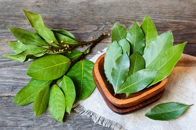 Laurel o bahía dulce en un cuenco de madera sobre una mesa gris