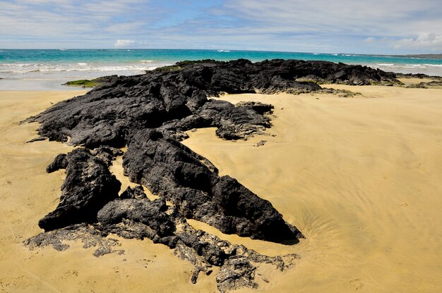 Lava na praia