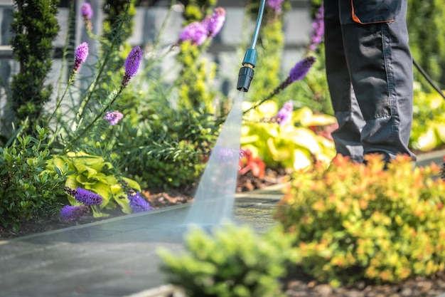 Lavagem de caminhos de jardim